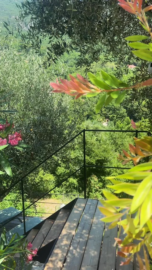 Il faut descendre tout en bas de la propriété pour le découvrir.

Le Cottage Jasmin se cache à l’abri des regards, dans un écrin de verdure où le temps semble ralentir. Sous l’ombre généreuse des kiwis, la terrasse devient le refuge idéal lorsque la chaleur de l’été s’installe. À l’intérieur, la climatisation apporte la fraîcheur tant appréciée après une journée à la mer, à la montagne ou tout simplement au bord de la piscine.

Puis vient le soir.

Le jacuzzi s’illumine doucement, le calme s’installe, et le spectacle commence. Allongés dans l’eau chaude, les yeux tournés vers le ciel, nos voyageurs profitent simplement de la magie des nuits d’été et des étoiles qui veillent sur le domaine.

Un lieu discret. Une atmosphère unique. Une parenthèse que l’on aimerait garder secrète.

Et si votre plus belle soirée d’été vous attendait ici ?
👉https://domainelesdeuxroches.fr/